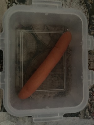 this carrot is really long