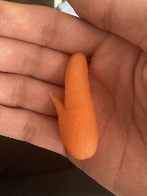 carrot with a sore thumb